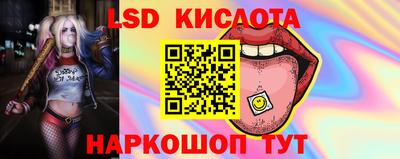 шишки Донецк