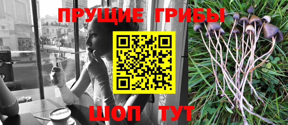 Конопля  Вход с VPN  Гашиш  Мефедрон   Кокаин  Alpha PVP СОЛЬ кристаллы  Кондопога  ГАШИШ 