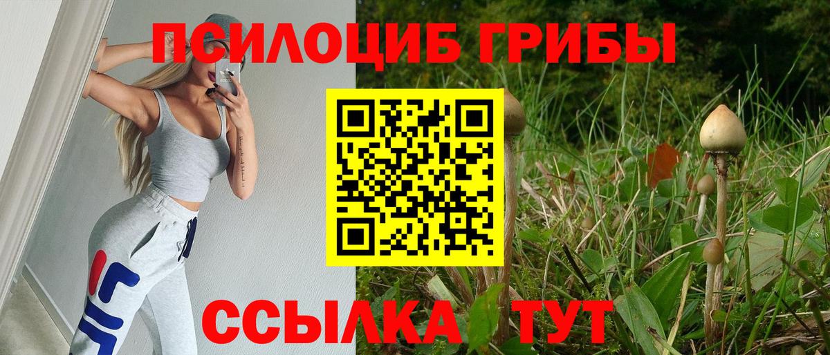 Галлюциногенные грибы ЛСД  Вход с VPN  как найти закладки  Кондопога  Псилоцибиновые грибы GOLDEN TEACHER 